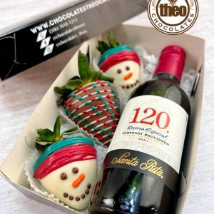 Caja Snowman mini